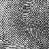 fingerprint.gif
