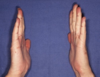 Click to enlarge Highslide